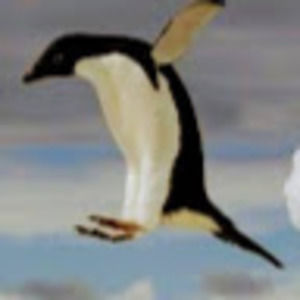 Meet your Posher, Alexia